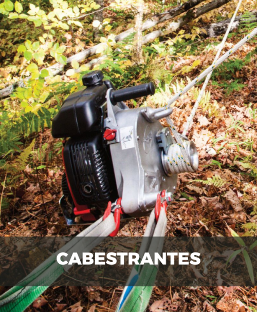 Cabestrantes